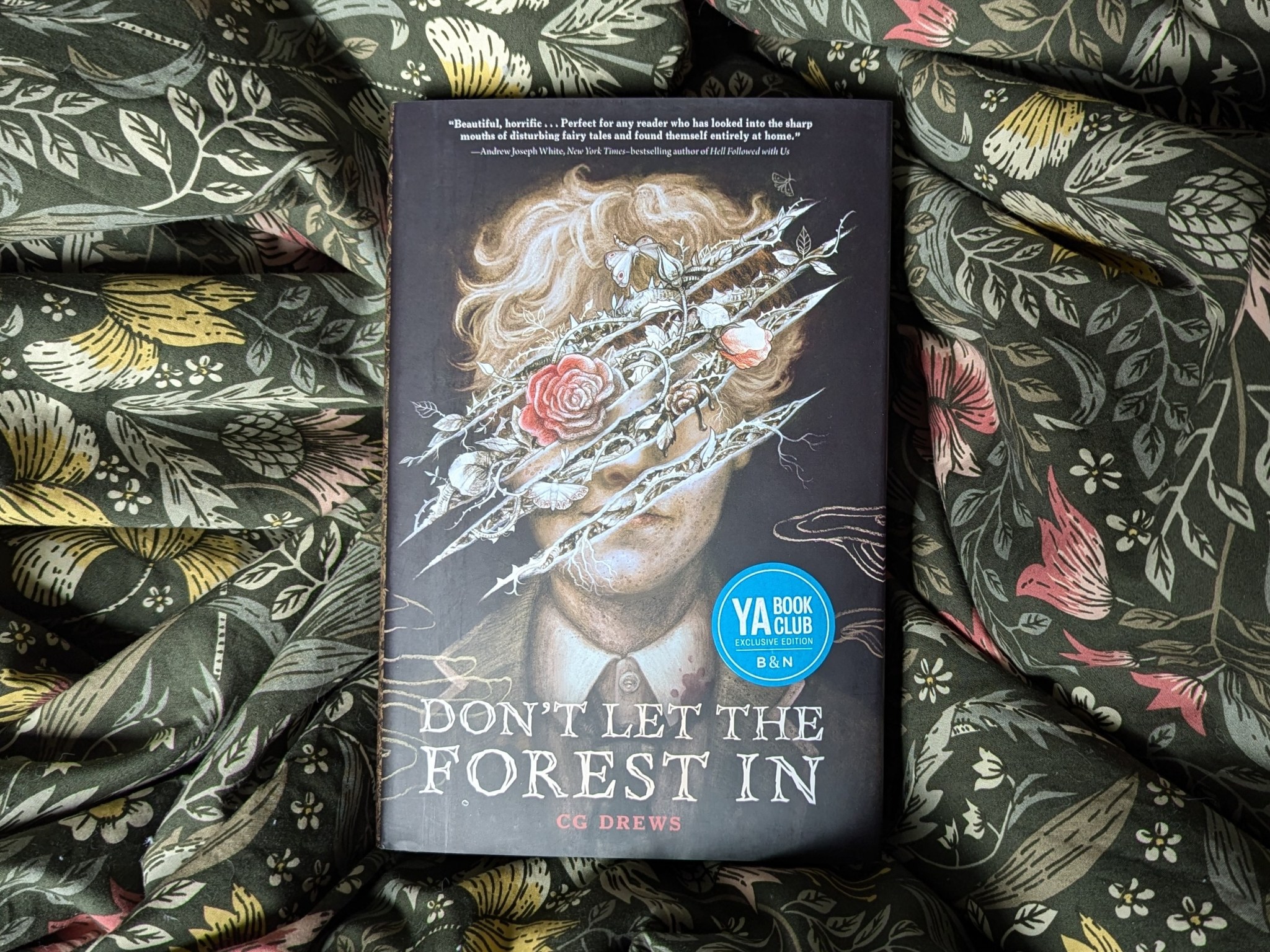 Don T Let The Forest In Ao3