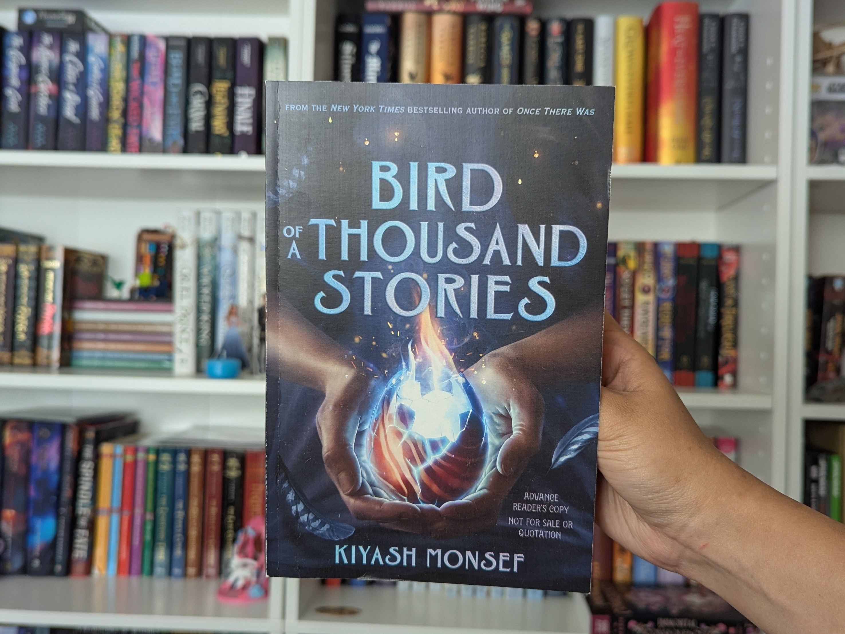 BOOK REVIEW: Bird of a Thousand Stories by Kiyash&nbsp;Monsef